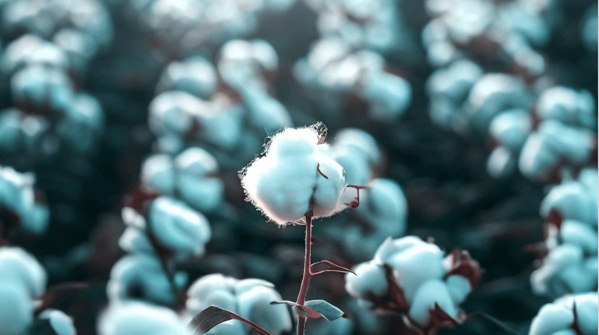 Parents for Sustainability Network